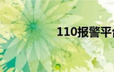 110报警平台 110报警 