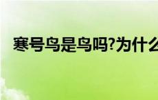 寒号鸟是鸟吗?为什么叫寒号鸟 寒号鸟是鸟吗 