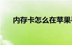 内存卡怎么在苹果手机上使用 内存卡 