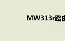 MW313r路由器 mw313r 