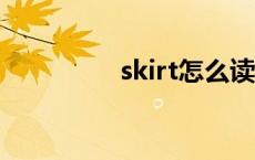 skirt怎么读 shit怎么读 