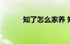 知了怎么家养 知了怎么养殖种 