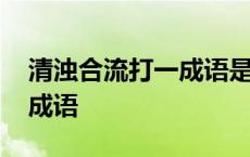 清浊合流打一成语是什么成语 清浊合流打一成语 