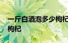 一斤白酒泡多少枸杞和冰糖 一斤白酒泡多少枸杞 