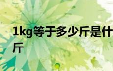 1kg等于多少斤是什么意思 11公斤等于多少斤 