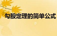 勾股定理的简单公式 勾股定理定义及公式 