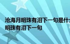 沧海月明珠有泪下一句是什么不知是歌词入了心还是 沧海月明珠有泪下一句 