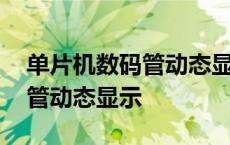 单片机数码管动态显示实验报告 单片机数码管动态显示 