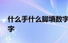 什么手什么脚填数字谜语 什么手什么脚填数字 