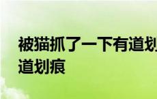 被猫抓了一下有道划痕肿了 被猫抓了一下有道划痕 