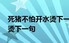 死猪不怕开水烫下一句顺口溜 死猪不怕开水烫下一句 