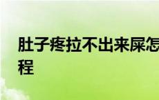 肚子疼拉不出来屎怎么办 花蛤肚子去屎的过程 