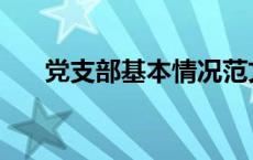 党支部基本情况范文 党支部基本情况 