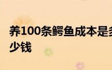 养100条鳄鱼成本是多少 养殖100条鳄鱼要多少钱 