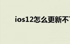 ios12怎么更新不了 ios12怎么更新 