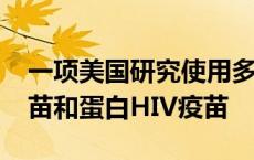 一项美国研究使用多种组合的基于DNA的疫苗和蛋白HIV疫苗