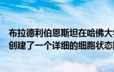 布拉德利伯恩斯坦在哈佛大学路德维希中心领导的研究小组创建了一个详细的细胞状态图谱