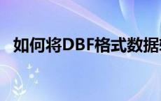 如何将DBF格式数据转换为Excel文件格式