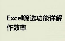 Excel筛选功能详解：轻松筛选数据，提高工作效率