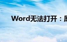 Word无法打开：原因解析与解决方案