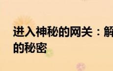 进入神秘的网关：解锁 192.168.0.1 主页面的秘密