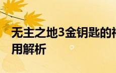 无主之地3金钥匙的神秘面纱：获取方法与作用解析