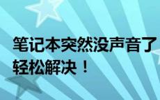 笔记本突然没声音了？别着急，按照这个方法轻松解决！