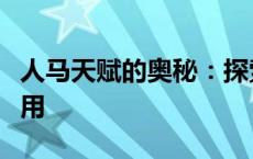 人马天赋的奥秘：探索最佳天赋配置与实战应用