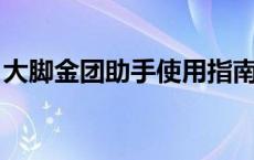 大脚金团助手使用指南：功能详解与操作指引