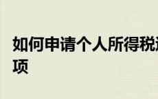 如何申请个人所得税退税？详细步骤与注意事项