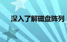 深入了解磁盘阵列：概念、类型及应用