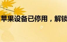 苹果设备已停用，解锁方法与预防措施全解析