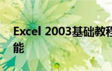 Excel 2003基础教程：掌握电子表格处理技能