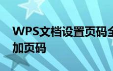 WPS文档设置页码全攻略：从零开始轻松添加页码