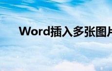 Word插入多张图片自动排版设置详解