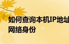 如何查询本机IP地址——轻松获取你的设备网络身份