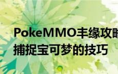 PokeMMO丰缘攻略：探索最佳路线与高效捕捉宝可梦的技巧