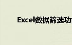 Excel数据筛选功能详解及应用实例