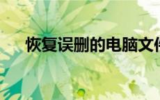 恢复误删的电脑文件：方法与步骤详解