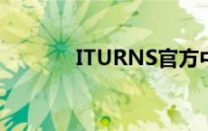 ITURNS官方中文版下载指南