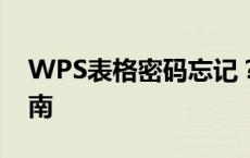 WPS表格密码忘记？解锁密码保护的方法指南