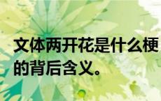 文体两开花是什么梗？全面解析这一网络热词的背后含义。