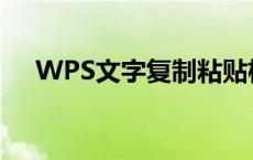 WPS文字复制粘贴格式不一致问题解析