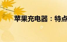 苹果充电器：特点、选购与使用指南