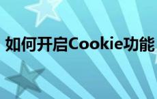 如何开启Cookie功能：详细步骤与注意事项