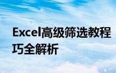 Excel高级筛选教程：从入门到精通的筛选技巧全解析