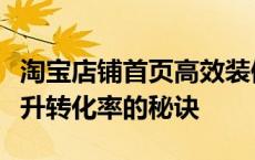 淘宝店铺首页高效装修指南：打造吸引力与提升转化率的秘诀