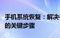 手机系统恢复：解决手机问题，恢复系统稳定的关键步骤