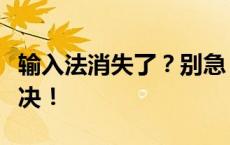 输入法消失了？别急，这篇文章告诉你如何解决！